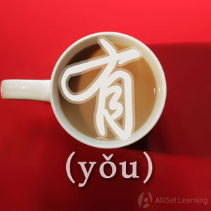 Chinese-grammar-wiki-you.jpg