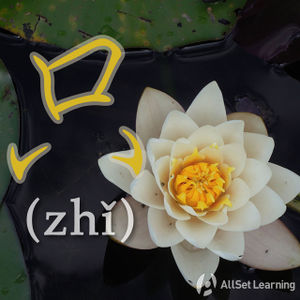 Chinese-grammar-wiki-zhi.jpg