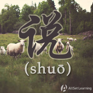 Chinese-grammar-wiki-shuo.jpg