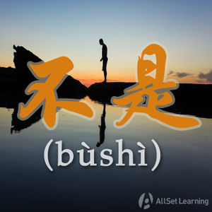 Chinese-grammar-wiki-bu shi.jpg