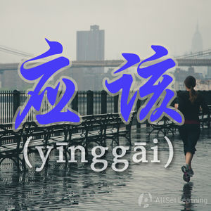 Chinese-grammar-wiki－yinggai.jpg