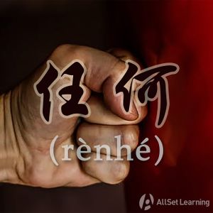 Chinese-grammar-wiki－任何.jpg