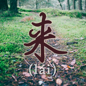 Chinese-grammar-wiki-lai.jpg