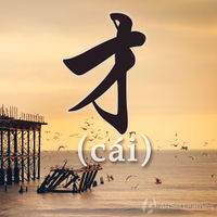 才 (cai)