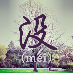 Chinese-grammar-wiki-mei.jpg