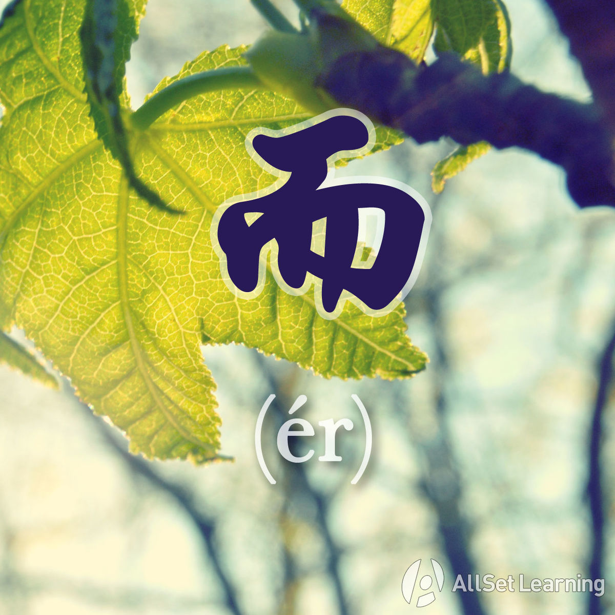 file-chinese-grammar-wiki-er-jpg-chinese-grammar-wiki