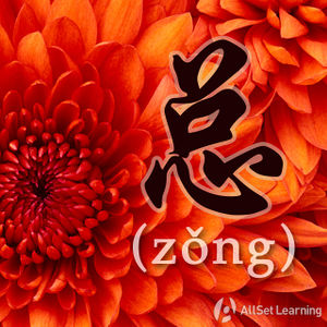 Chinese-grammar-wiki-zong.jpg